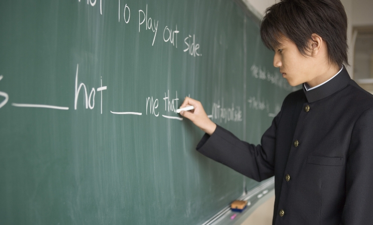 教育教材／コンサルティング